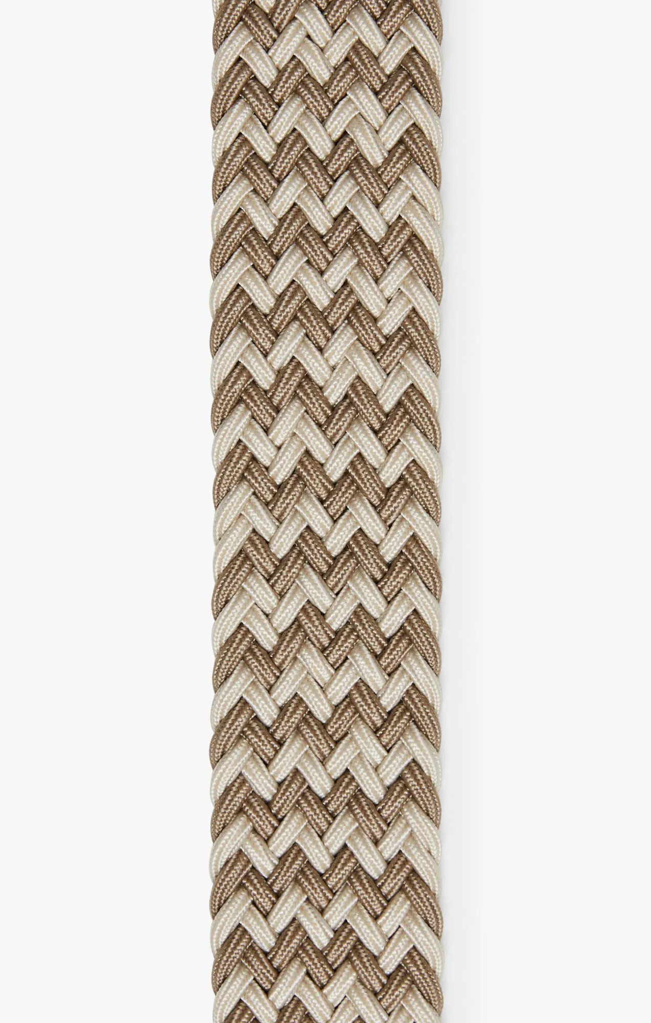 Elastic Belt In Multi Beige