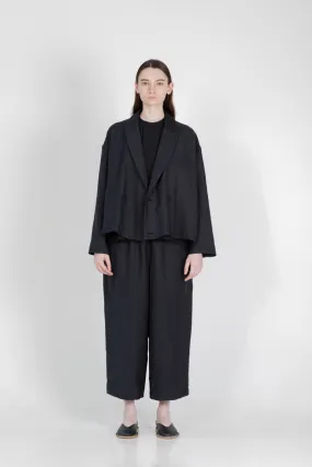 Pierre Cotton Silk Twill Pants
